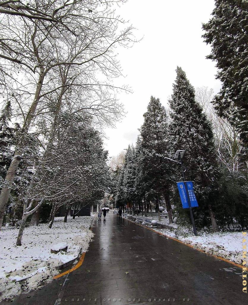 2023 12 PEKIN- UNIVERSITE LANGUES ETRANGERES SOUS LA NEIGE (8).jpg